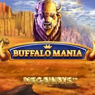 Buffalo Mania MegaWays screenshot